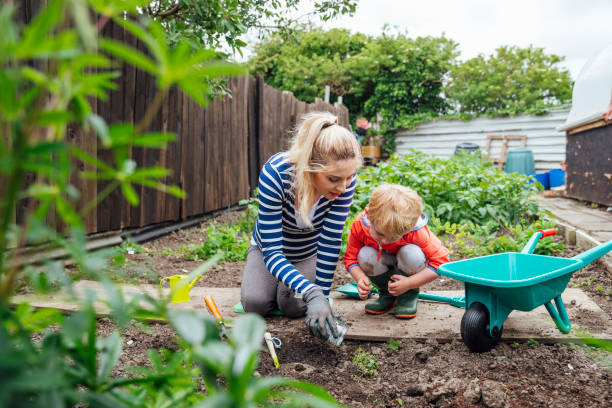 A beginners guide to gardening