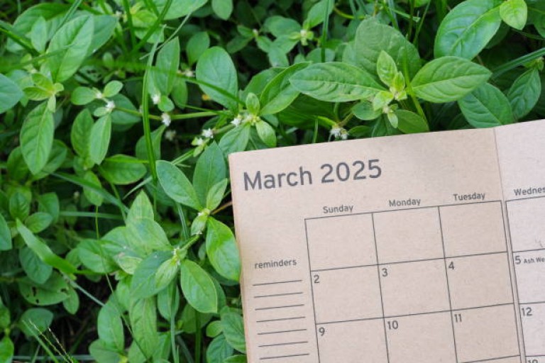 March 2025 Property Market Report Solihull